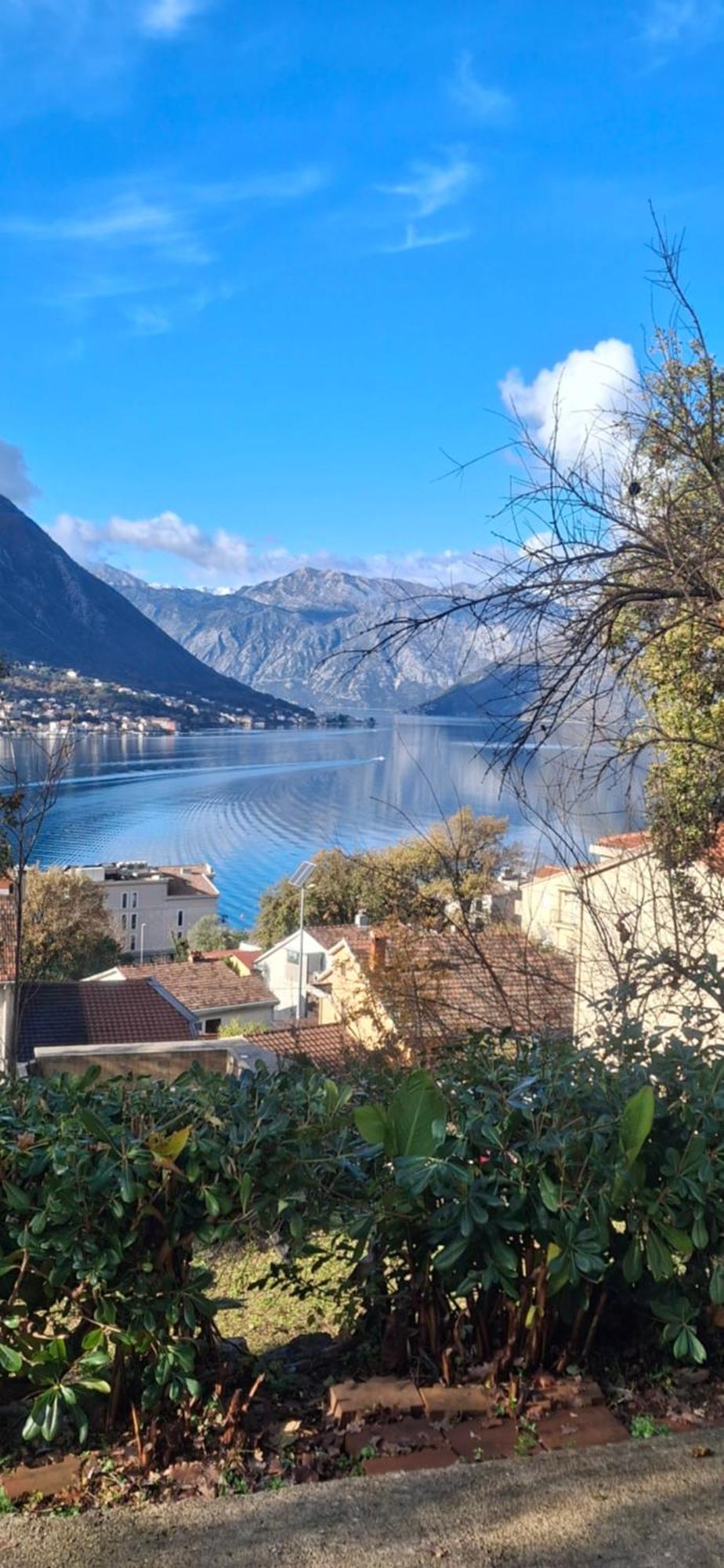 Milka Apartment Kotor Luaran gambar